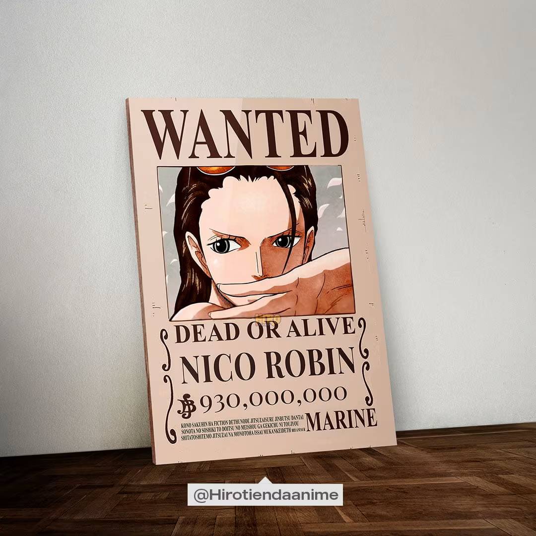 Cuadro The Wanted Robin One Piece