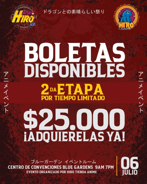 BOLETAS MICRO HIRO SEGUNDA FASE
