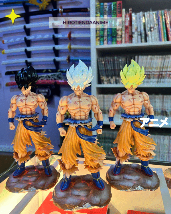GoKu Transformaciones